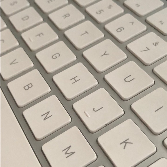 Meet your Posher, Anabella - Picture 1 of 1